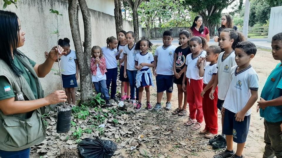 Parques Estaduais realizam atividades no Dia da Árvore