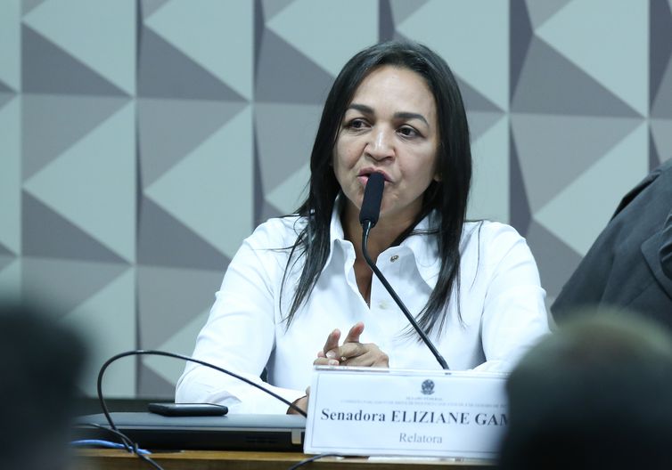 Decisão inviabiliza investigação de ex-PRF, lamenta relatora da CPMI  