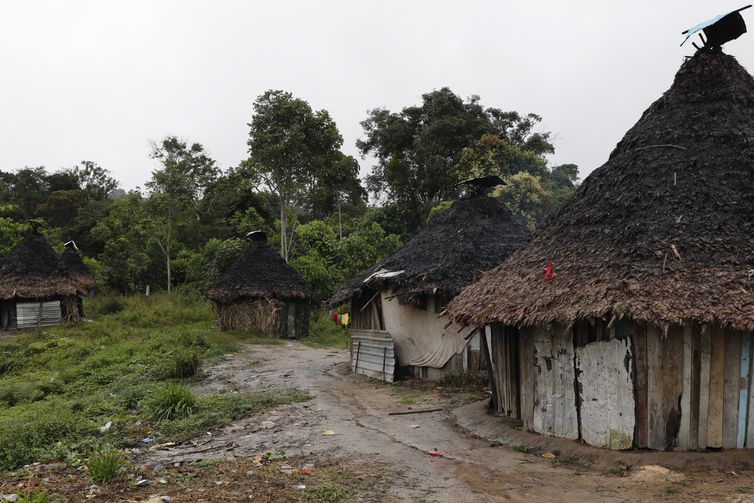 Representantes da corte interamericana visitarão TI Yanomami