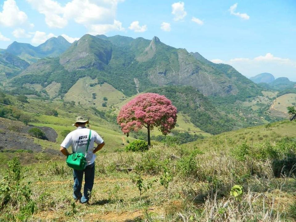 Último dia para se inscrever no concurso do Idaf