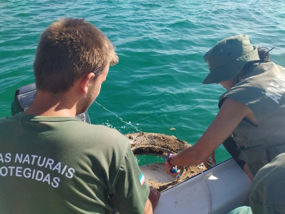 Iema realiza abordagens educativas no Arquipélago das Três Ilhas durante o Carnaval