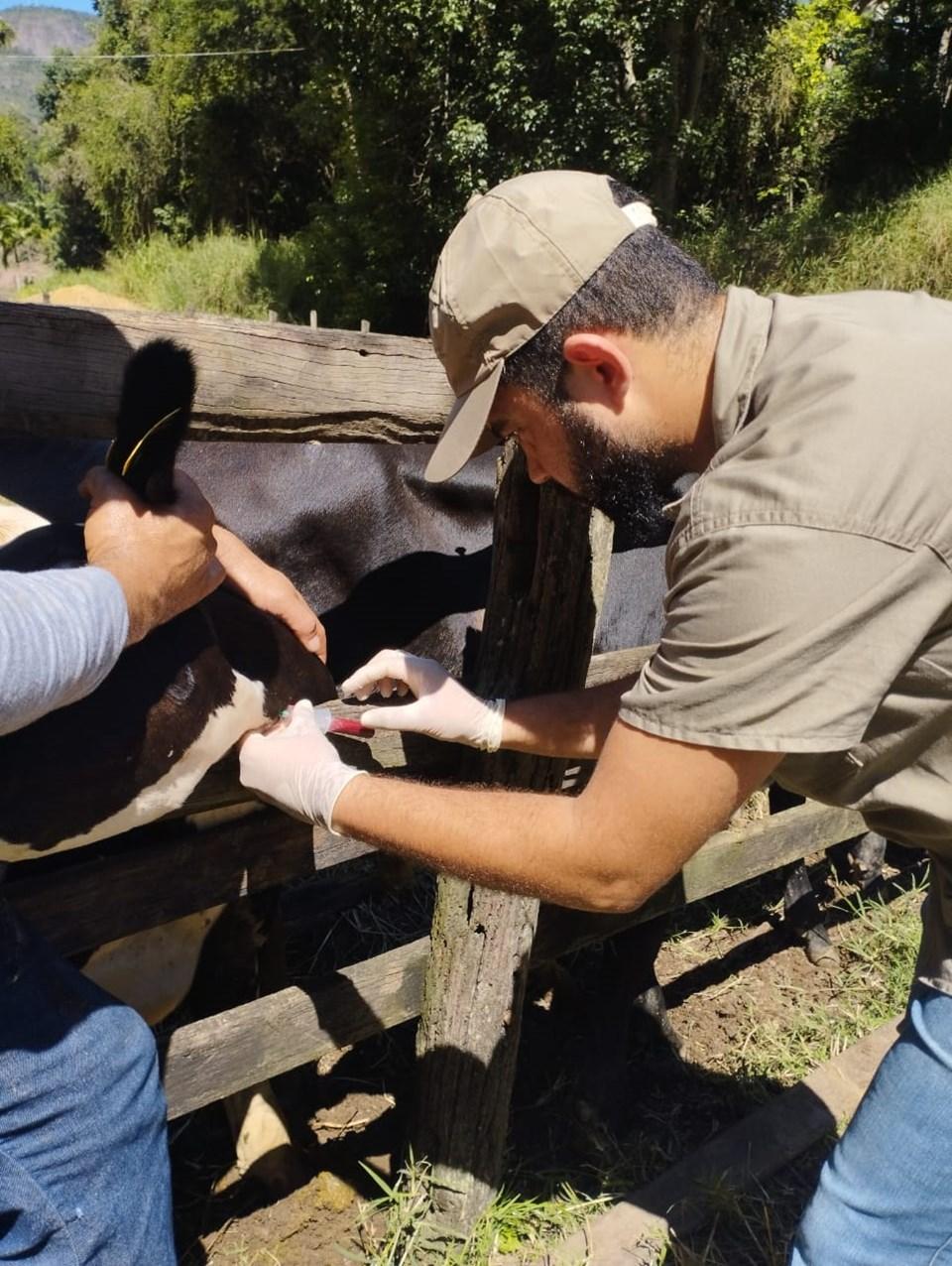Espírito Santo é reconhecido nacionalmente como livre de febre aftosa sem vacinação