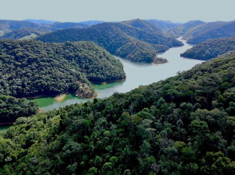 Dia Nacional da Mata Atlântica: Espírito Santo registra diminuição de quase 33% no número de desmatamento ilegal