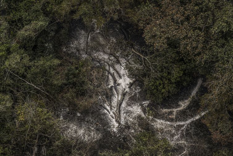 AGU cobra R$ 725 milhões de acusados por danos ambientais no Pantanal 