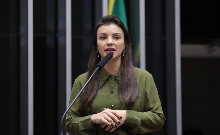 Comissão discute criação do Dia Nacional do Alho Brasileiro