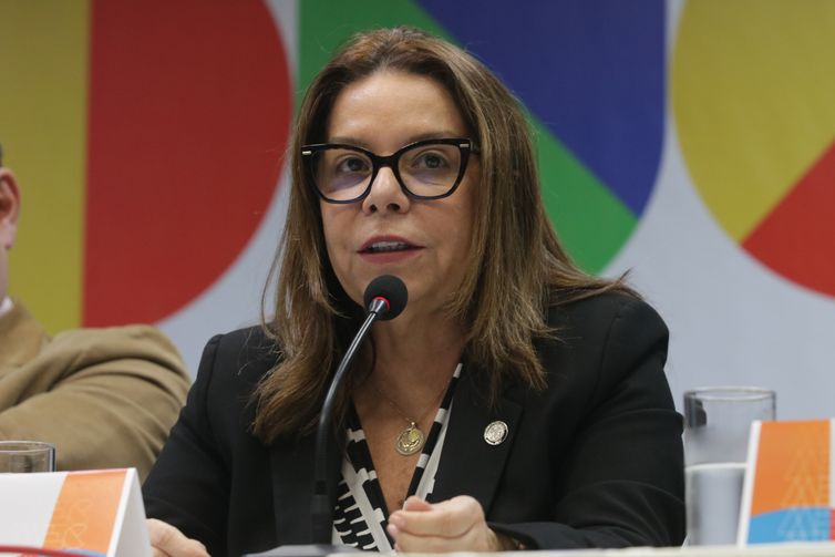 Estudantes devem buscar alternativa aos EUA, diz presidente da Capes