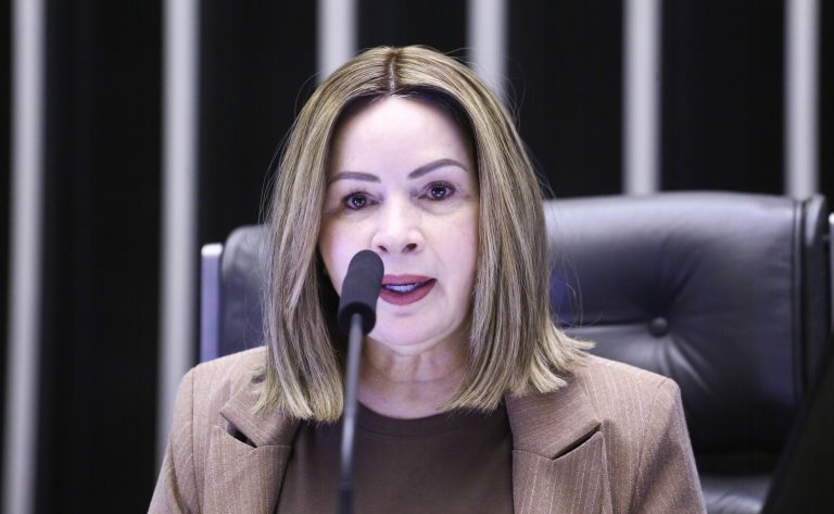 Comissão debate impactos e riscos de mudanças no licenciamento ambiental