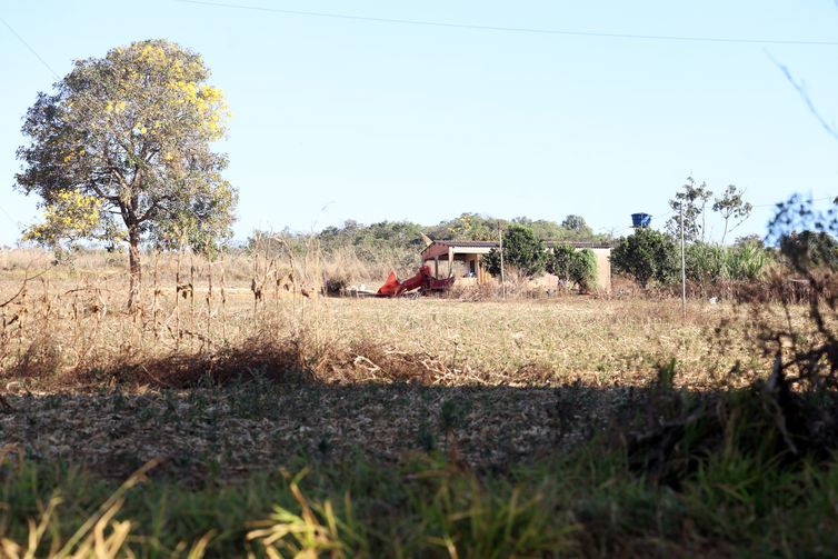 Defesa de fazendeiros em Goiás contesta decisão sobre quilombolas