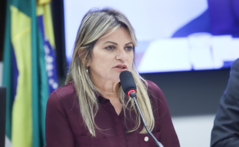 Orçamento 2026: relatora setorial pede recomposição de recursos para a área de Poderes de Estado